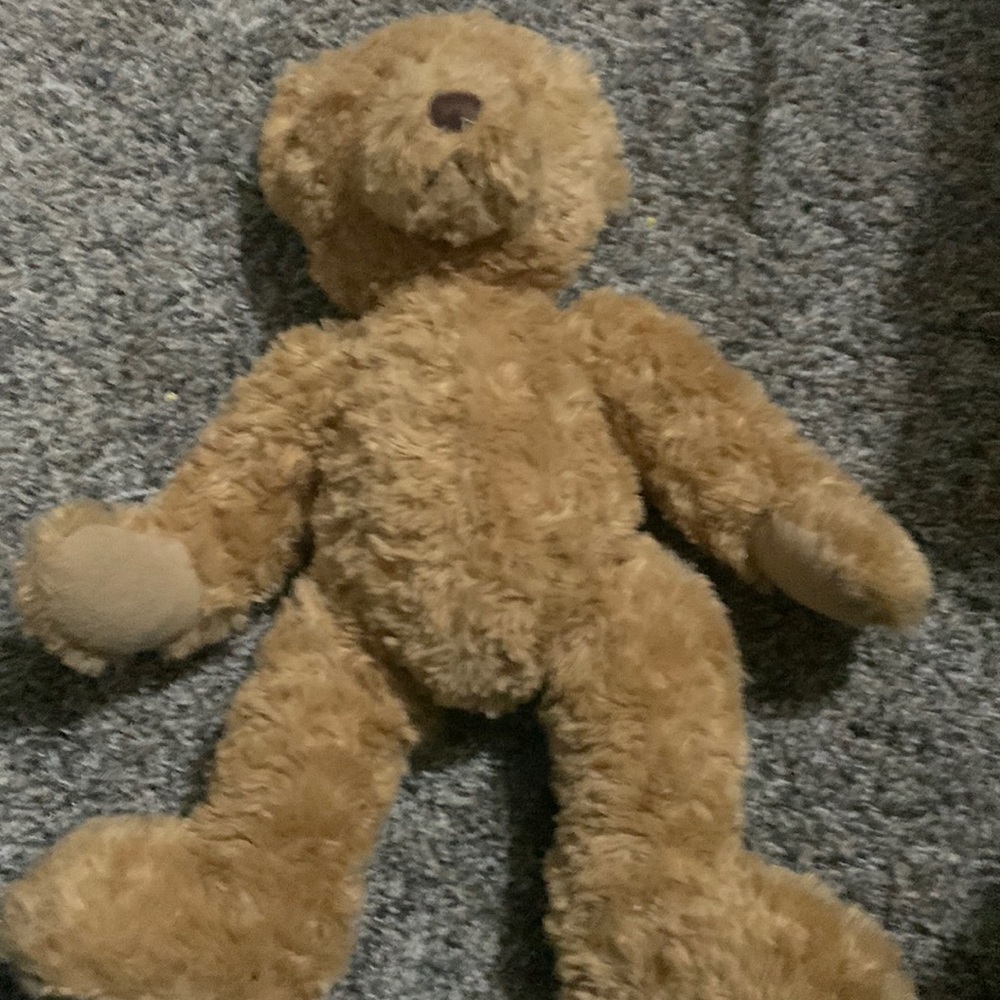 A teddy bear